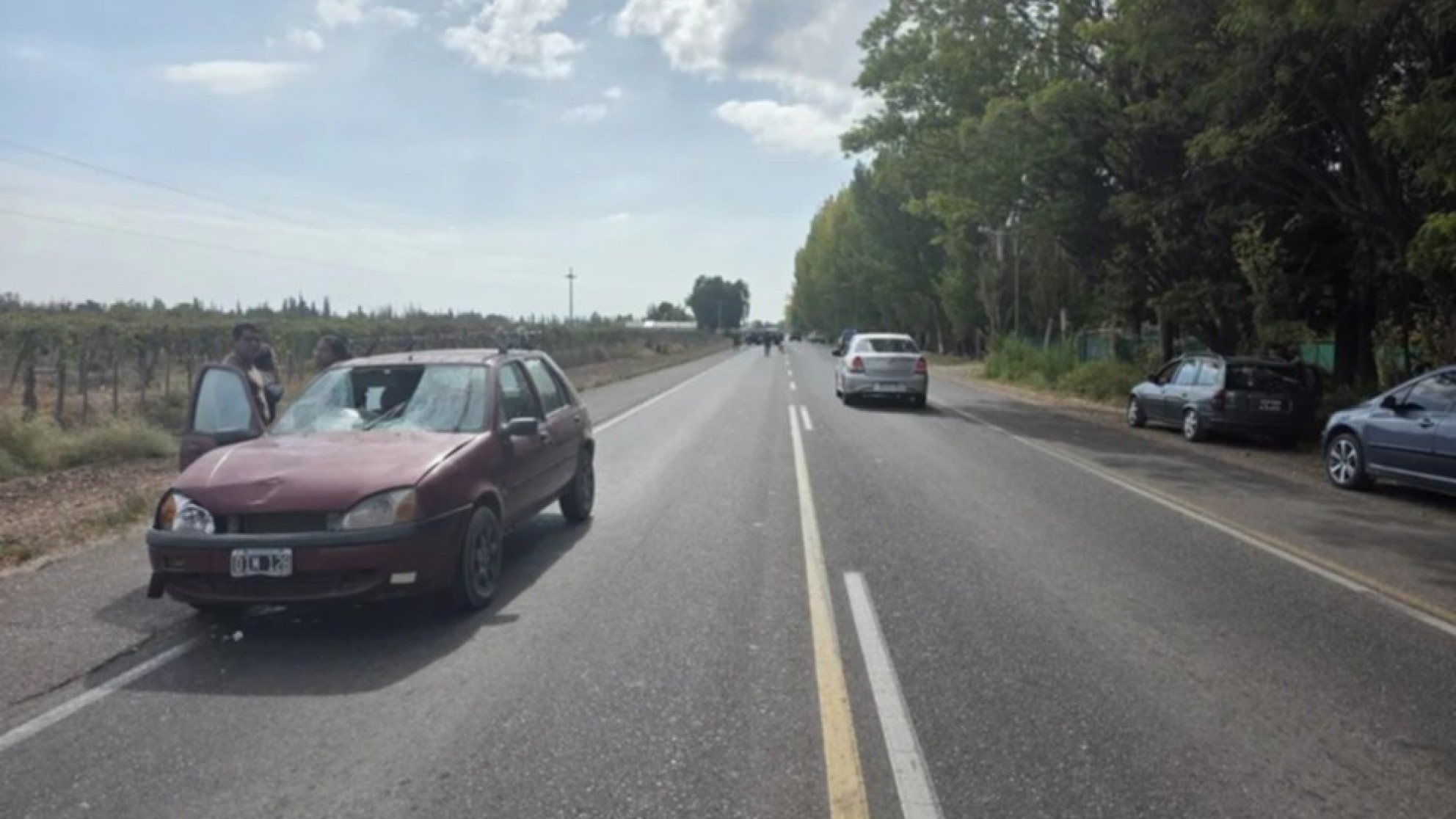 Una mujer falleció en San Martín tras ser atropellada en una banquina en el carril Chimbas